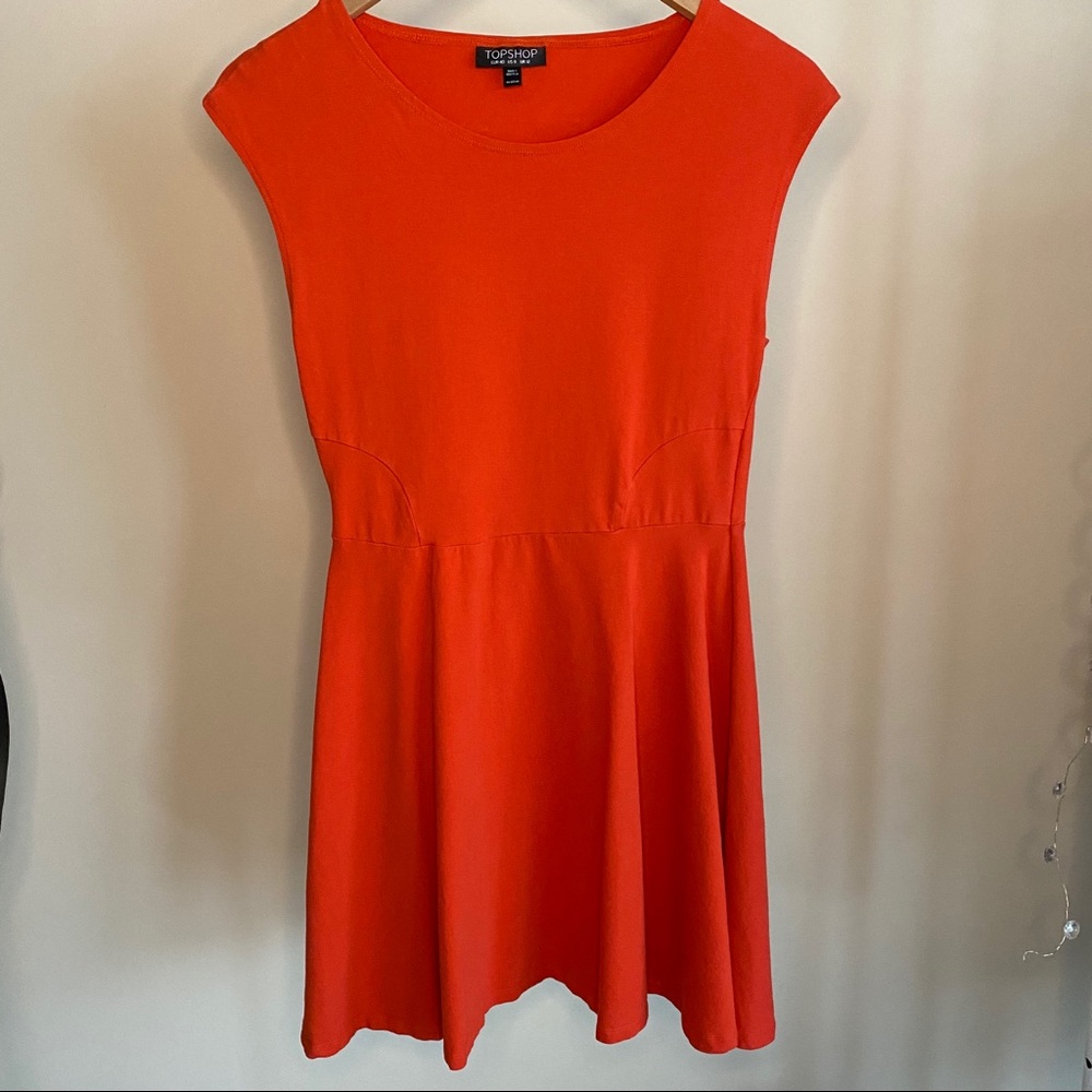 Topshop Skater Dress